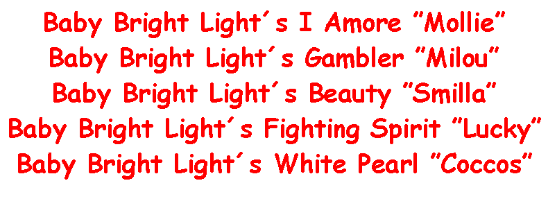 Text Box: Baby Bright Lights I Amore MollieBaby Bright Lights Gambler MilouBaby Bright Lights Beauty SmillaBaby Bright Lights Fighting Spirit LuckyBaby Bright Lights White Pearl Coccos