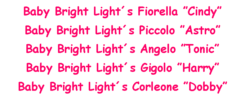 Text Box: Baby Bright Lights Fiorella CindyBaby Bright Lights Piccolo AstroBaby Bright Lights Angelo TonicBaby Bright Lights Gigolo HarryBaby Bright Lights Corleone Dobby